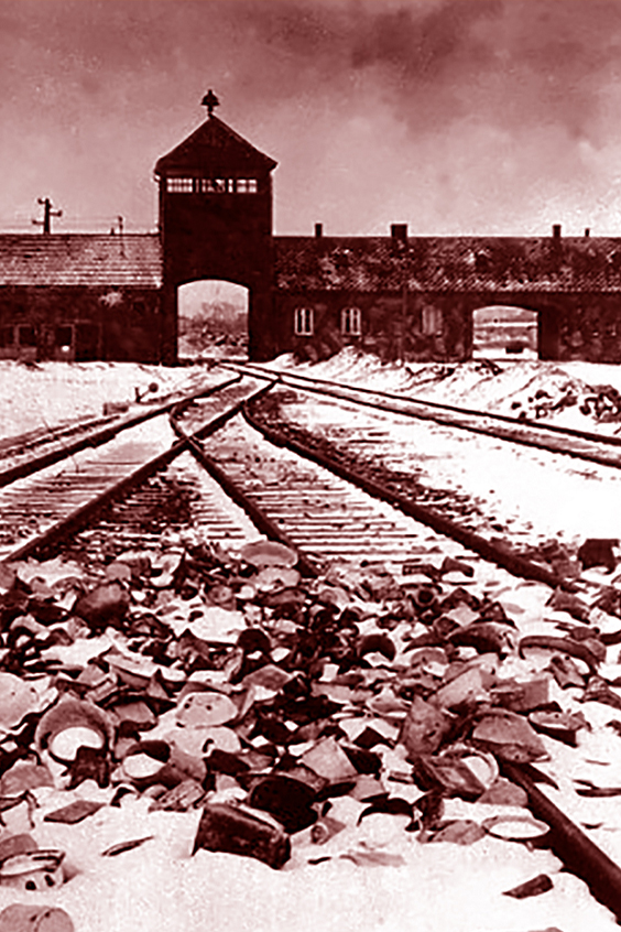 فرشته ی مرگ