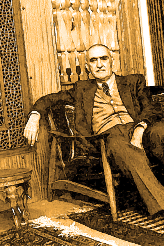 سایه مستدام ایرج افشار